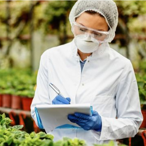 Laboratorio de analisis ocupacional - HSE Golden Solution